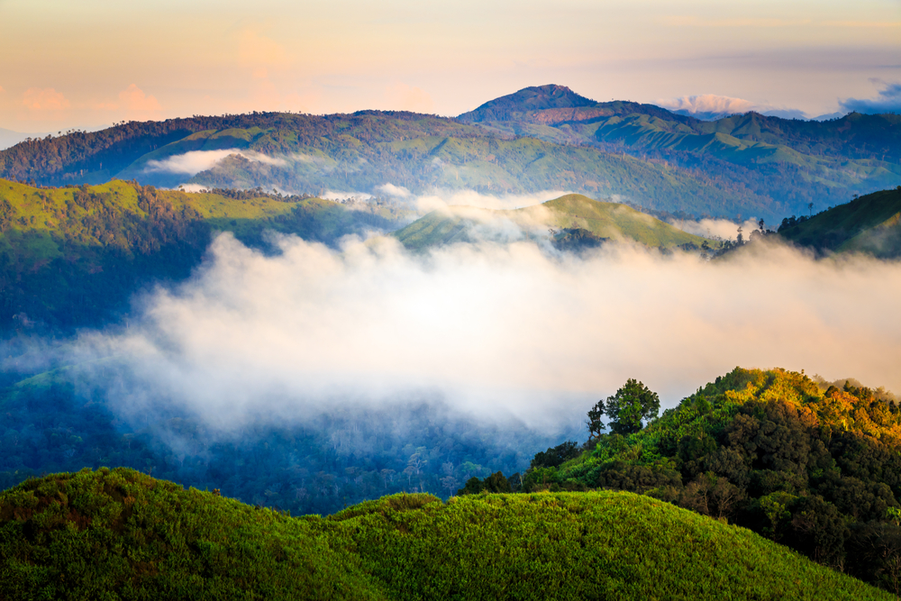 11 Biggest Rainforests in The World