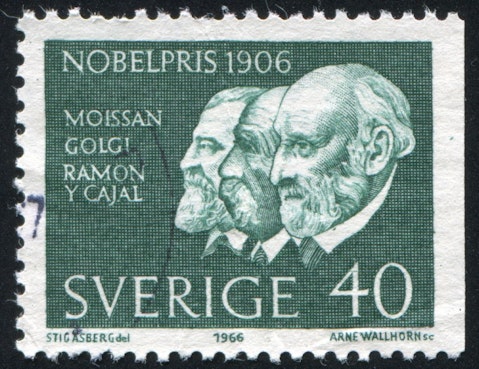 rook76 / Shutterstock.com