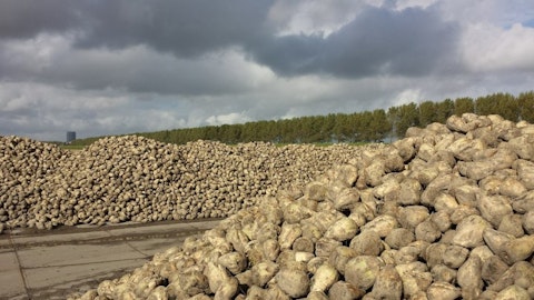 sugar-beet-562317_1280 10 Countries That Export The Most Sugar in the World