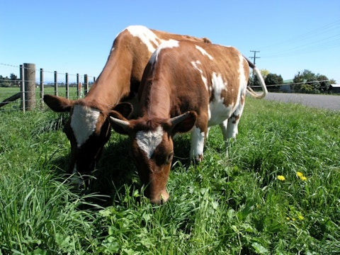 States with Most Cattle Per Acre