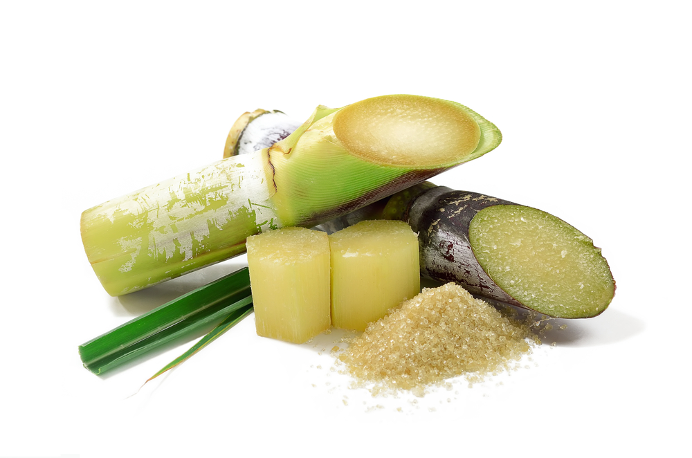 10 Countries That Export The Most Sugar in the World