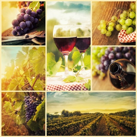 wine, grapes, vineyard, red, cellar, harvest, background, concept, barrel, white, autumn, alcohol, cork, set, food, tree, sun, vines, pouring, farm, collection, glass, wood,