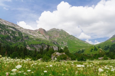 adventure, alp, alpine, background, beautiful, beauty, blue, caucasus, cloud, ecology, environment, flower, forest, glacier, grass, grassland, green, highland, hiking, hill, journey, landscape, majestic, meadow, mountain, natural, nature, outdoor, 11 Places with the Most Moderate Climate in the World