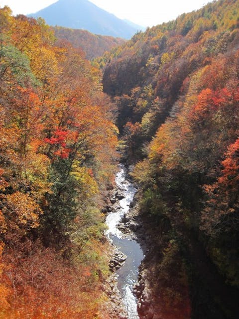 autumn-999337_1920 11 Best Places to Visit in Vermont in Fall