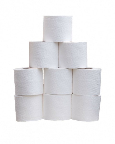 toilet-roll-220415_1280 11 Easiest and Best Paying Jobs of 2015