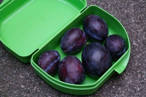 lunch-pail-225928_1920 10 Simple Inventions That Made Millions