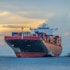Top 6 Shipping Stocks Searched by Financial Pros