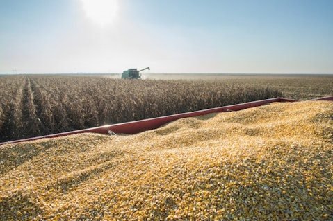 corn, harvester, harvesting, field, ripe, monoculture, dust, agriculture, autumn, machinery, yellow, trailer, crop, combine, farm, sun, landscaped, vehicle, equipment, rural, cultivated