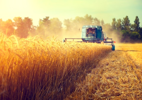 harvester, harvesting, harvest, barley, grain, tractor, field, farming, heartland, sunset, bread, rye, ripe, dust, grow, agriculture, swath, yellow, peasant, growing, ears,