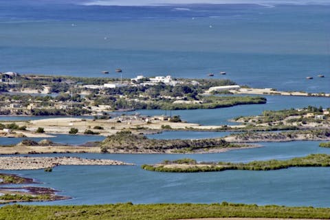 guantanamo, bay, base, sunlight, street, usa, pigs, green, view, january, day, soldier, military, sun, 10, district, caribbean, beach, architecture, blue, panorama, outdoors, 6 Facts About Operation Northwoods Conspiracy Theory