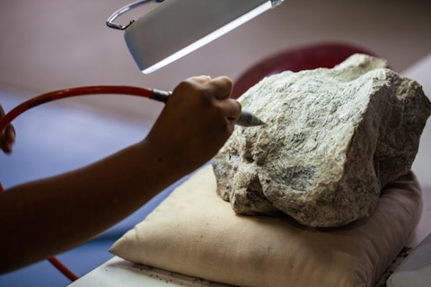 geologist, paleontologist, search, flaky, backpack, rise, historical, stone, hat, earth, boy, rock, mountains, history, discover, discovery, old, hammer, explore, researcher, 11 Cities With The Highest Demand for Geologists