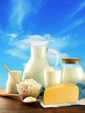 6 Easiest Dairy Products To Digest