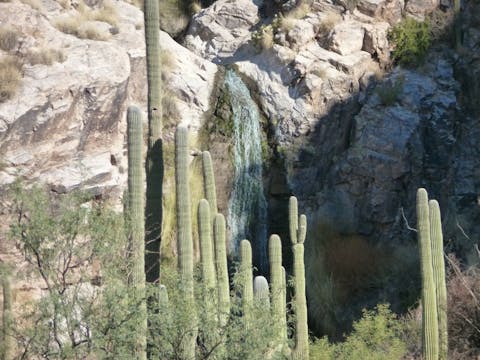 cactus-249554_128011 Best Places to Visit in USA for 3 Days