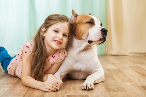 11 Best Therapy Dog Breeds For Autistic Children 
