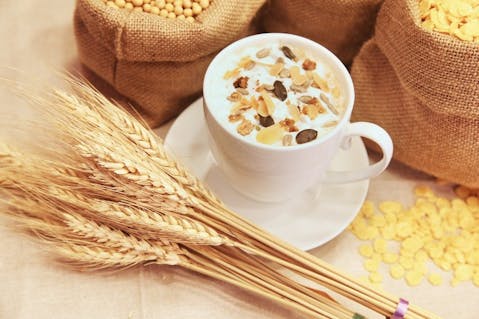 corn-syrup-563796_1280 Top 11 Philippine Exports and Imports