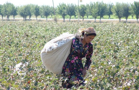 cotton, uzbekistan, farming, labor, uzbek, clothing, bolus, abuse, agriculture, carry, fergana, textiles, poverty, seed, woman, burden, production, rural, human rights, concern, pesticide, damaging, hardship, fertiliser, soft, economy, artificial, head, forced, sack, environment 11 Worst Asian Countries for Human Rights Violation