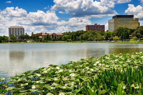 florida, lakeland, lake, mirror, town, bird, community, business, urban, pond, cypress, architecture, city, ibis, buildings, background, water, nature, promenade, landscape