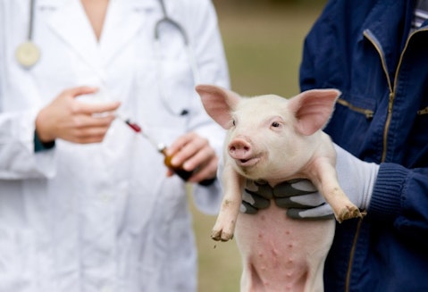 11 Highest Paying States for Veterinarians