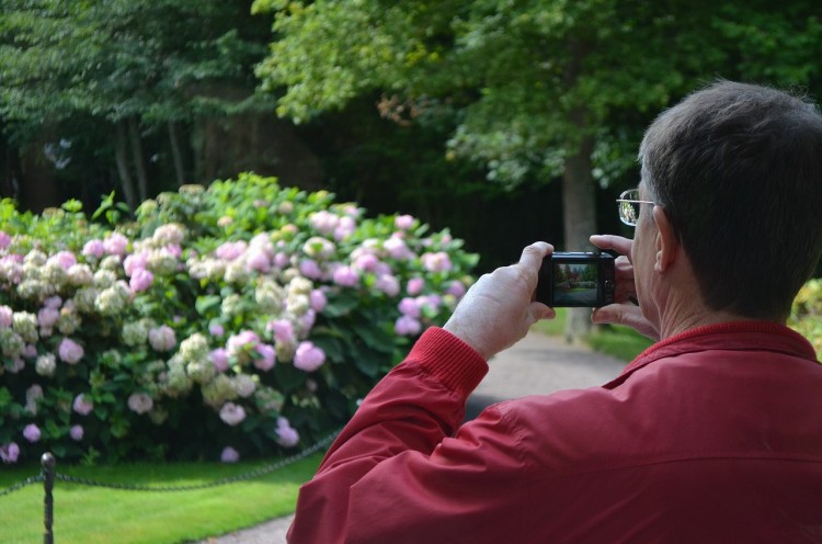 7 Easiest Digital Cameras to Use for Seniors