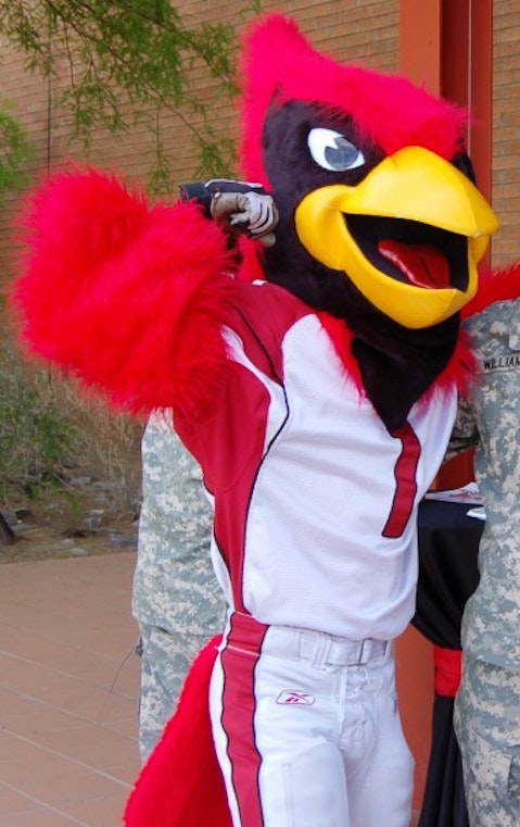 20 Most Popular High School Mascots