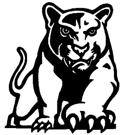 20 Most Popular High School Mascots