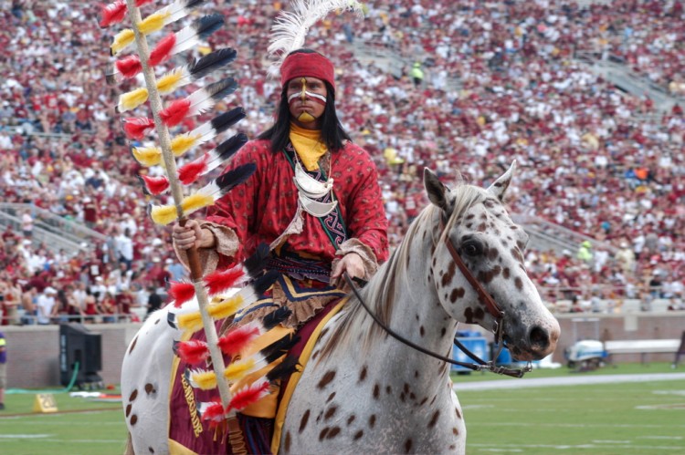 20 Most Popular High School Mascots