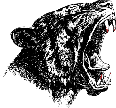 20 Most Popular High School Mascots