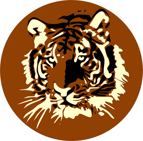 20 Most Popular High School Mascots