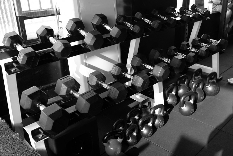 11 Most Popular Gym Franchises in America