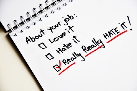 Ai825/shutterstock.com