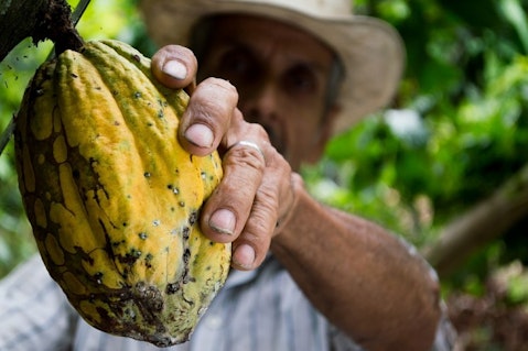 8 Countries that Produce the Most Cocoa Beans in the World