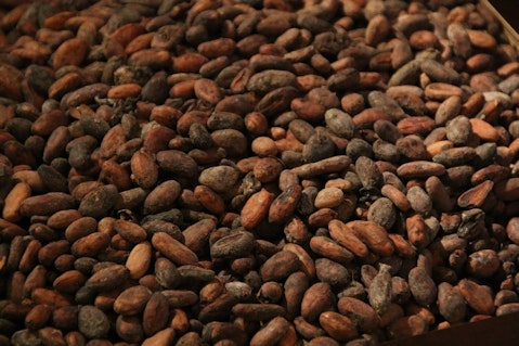 8 Countries that Produce the Most Cocoa Beans in the World