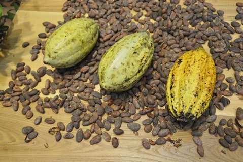 8 Countries that Produce the Most Cocoa Beans in the World