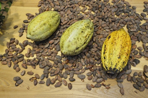 Top 20 Cocoa Producing Countries In The World