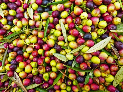 8 Countries That Produce The Most Olives In the World