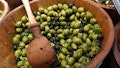 8 Countries that Produce the Most Olives in the World