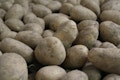 20 States That Produce The Most Potatoes
