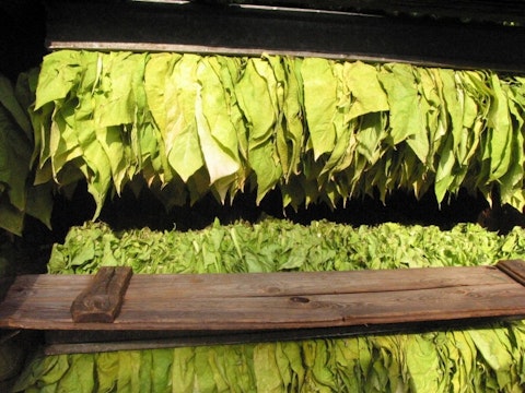 8 Countries that Produce the Most Tobacco in the World