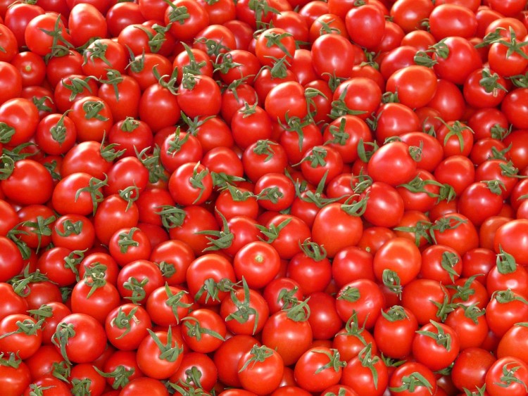 8 Countries that Produce the Most Tomatoes in the World