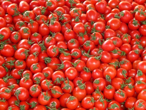 8 Countries that Produce the Most Tomatoes in the World