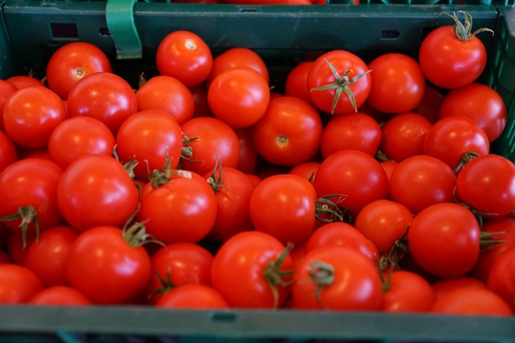 8 Countries that Produce the Most Tomatoes in the World