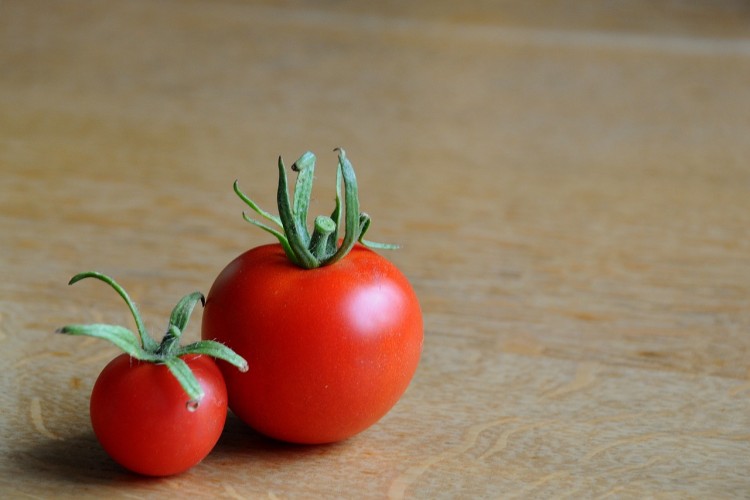 8 Countries that Produce the Most Tomatoes in the World