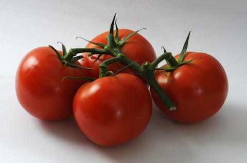8 Countries that Produce the Most Tomatoes in the World