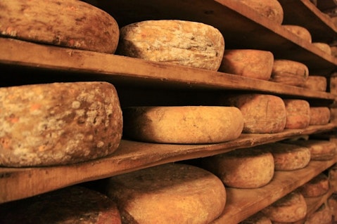 Countries that Produce The Most Cheese in The World 