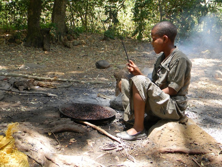 Countries that Export the Most Coffee in the World 