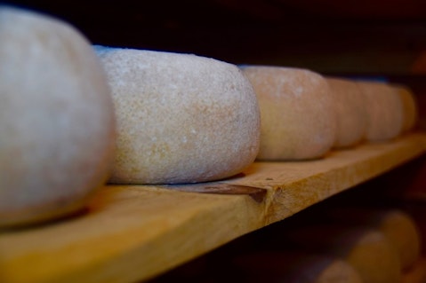 10 Countries that Export the Most Cheese in the World