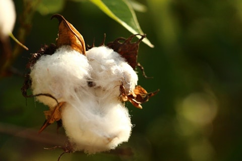 8 Countries that Produce The Most Cotton in The World