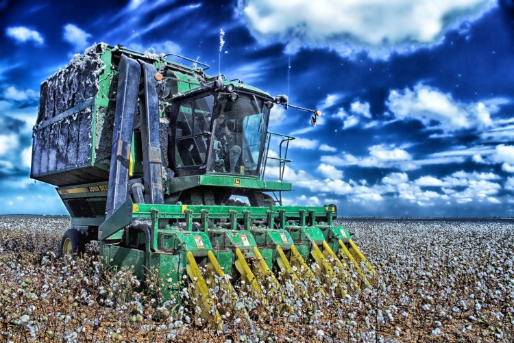 8 Countries that Produce The Most Cotton in The World