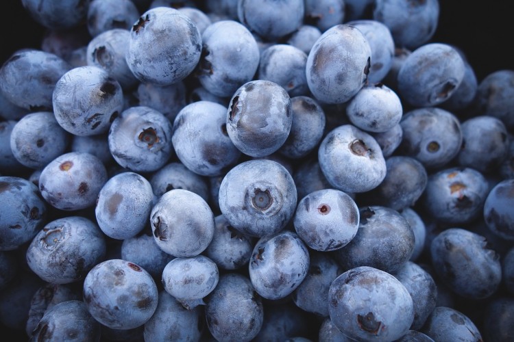 Countries that Produce The Most Blueberries in The World 