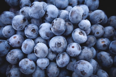 Countries that Produce The Most Blueberries in The World